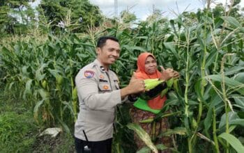 Sinergi Polri dan Warga Labuapi Wujudkan Kemandirian Pangan Keluarga