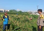 Bhabinkamtibmas Labuapi Ajak Warga Karang Bongkot Sulap Pekarangan Jadi Lumbung Pangan