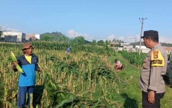 Bhabinkamtibmas Labuapi Ajak Warga Karang Bongkot Sulap Pekarangan Jadi Lumbung Pangan