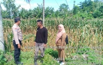 Bhabinkamtibmas Kediri Lobar dan PPL Tinjau Panen Jagung, Jaga Kestabilan Pangan Desa