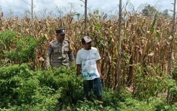 Bhabinkamtibmas Gerung Dorong Warga Manfaatkan Lahan Kosong