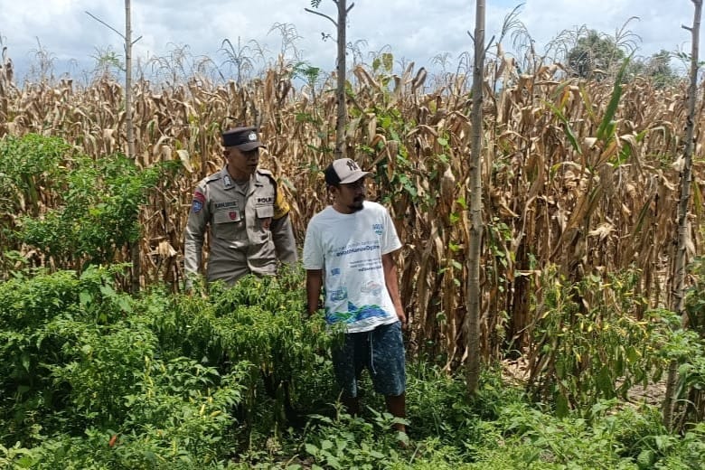 Langkah Praksis Polsek Gerung: Edukasi Pemanfaatan Lahan Kosong