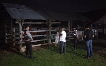 Apresiasi Warga Mengalir, Polisi Hadir di Tengah Sunyi Dini Hari Amankan Hewan Ternak