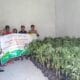 POLSEK SEKONGKANG DAMPINGI (GGM) SUMBAWA BARAT SALURKAN BIBIT TANAMAN DI WILAYAH KECAMATAN SEKONGKANG