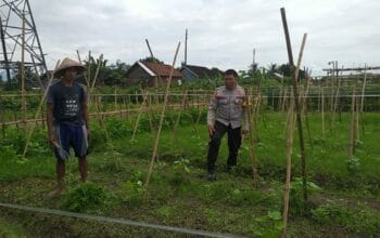 Sinergi Polri dan Petani Jagaraga Wujudkan Kemandirian Pangan