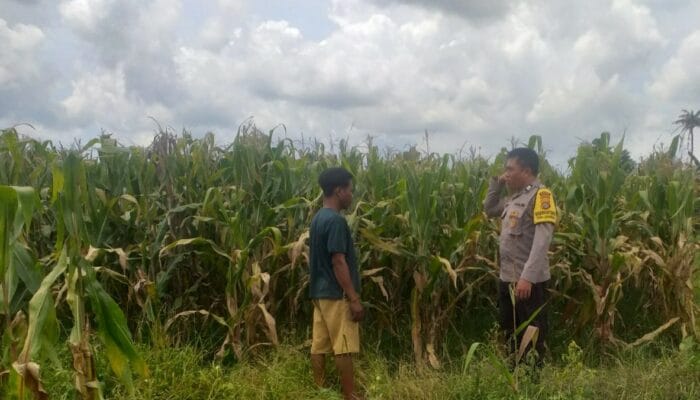 Bhabinkamtibmas Dorong Warga Jagaraga Manfaatkan Lahan Kosong