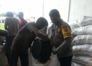 Jaga Kualitas, Polri Bantu Petani Lombok Barat Pipil Jagung