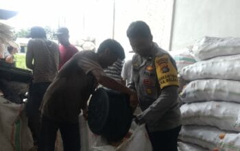 Jaga Kualitas, Polri Bantu Petani Lombok Barat Pipil Jagung