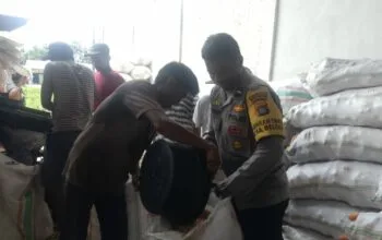Jaga Kualitas, Polri Bantu Petani Lombok Barat Pipil Jagung