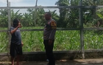 Dukung Ketahanan Pangan, Polri Ajak Warga Labuapi Tanam di Rumah