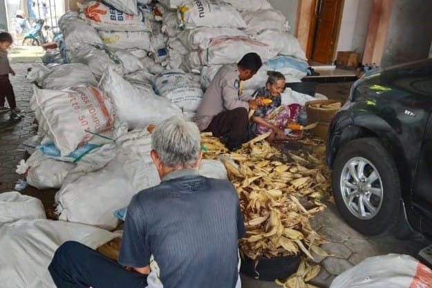 Polsek Gerung Kawal Panen Jagung Tiga Ton di Lombok Barat
