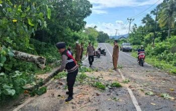 Keselamatan Prioritas: Polsek Sekotong Amankan dan Bersihkan Pohon Tumbang