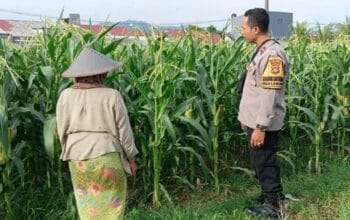 Peran Bhabinkamtibmas Kian Vital, Kawal Program Ketahanan Pangan di Desa Labuapi