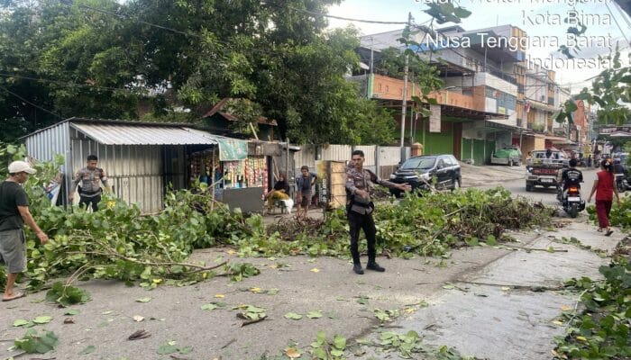Sat Samapta Polres Bima Kota Tindaklanjuti Laporan Warga Terkait Pohon Tumbang di Kelurahan Sarae
