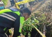 vakuasi Jasad MGS di Dusun Tegal, Polisi Lakukan Olah TKP