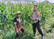 Polsek Labuapi Motivasi Petani di Desa Bagik Polak