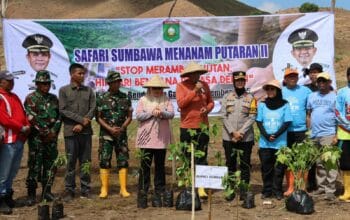 Gempur Lahan Kritis, Forkopimda Sumbawa Tanam 5.500 Pohon di Bendungan Gapit.