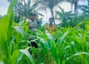 Strategi Polsek Labuapi Optimalkan Lahan Tidur di Bajur