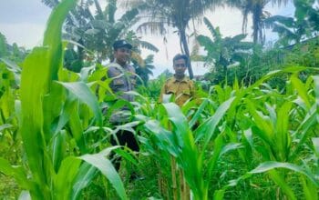 Strategi Polsek Labuapi Optimalkan Lahan Tidur di Bajur