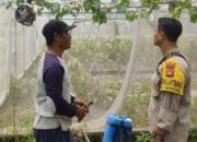 Polsek Labuapi Dorong Ketahanan Pangan di Desa Bengkel