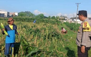 Langkah Nyata Polsek Labuapi Wujudkan Swasembada Pangan