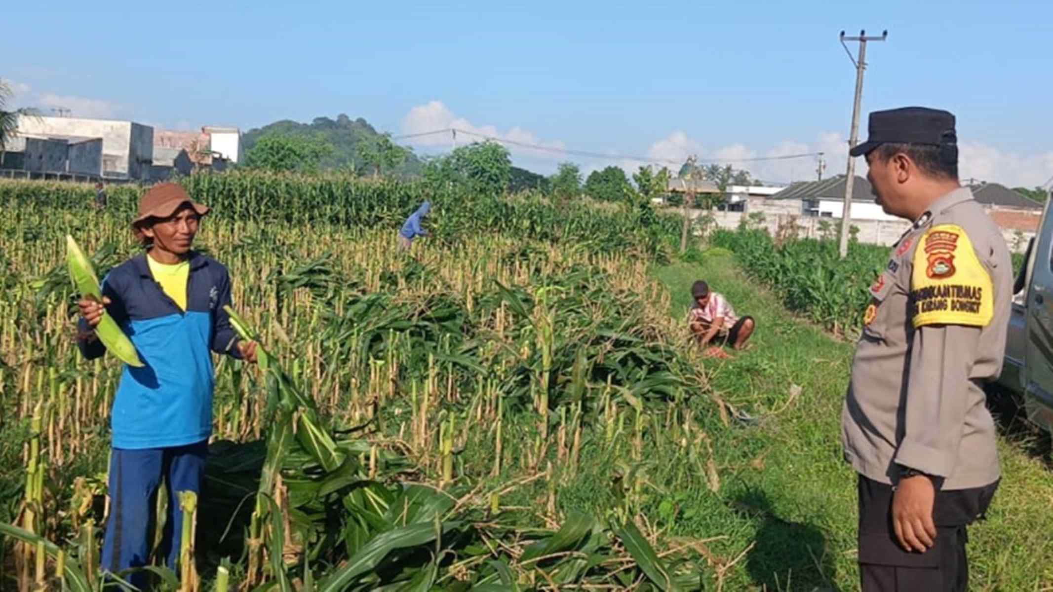 Langkah Nyata Polsek Labuapi Wujudkan Swasembada Pangan
