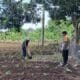 Polsek Sekotong Dampingi Petani Optimalkan Lahan Pangan