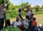 Dukung Program Pemerintah, Polri Dorong Swasembada Pangan di NTB