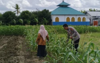 Bhabinkamtibmas Edukasi Warga Telagawaru Manfaatkan Lahan Produktif