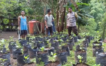 Upaya Desa Batulayar Wujudkan Kemandirian Pangan Lewat Greenhouse