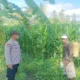 Polri Dorong Ketahanan Pangan di Banyu Urip Lombok Barat