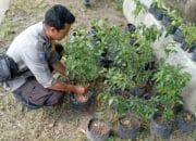 Sinergi Polri dan Warga Bengkel Kelola Lahan Produktif