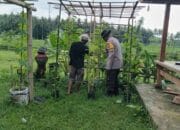 Bhabinkamtibmas Edukasi Warga Manfaatkan Lahan Produktif