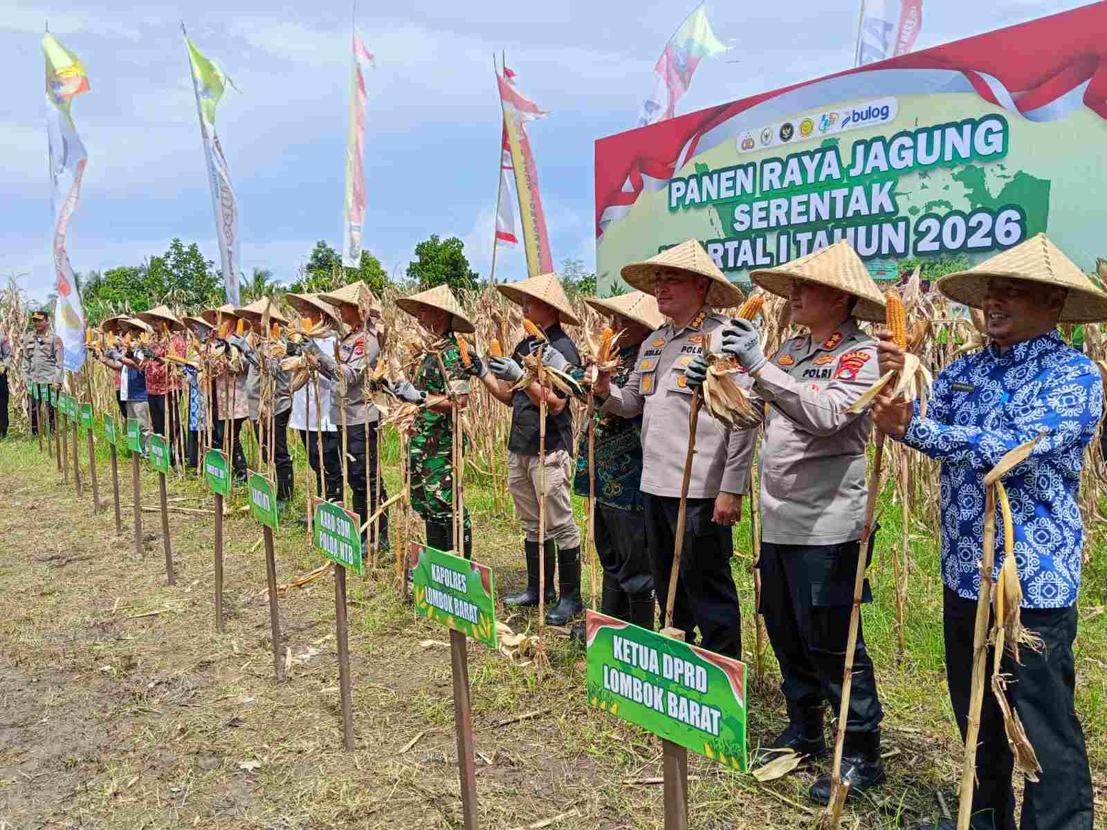 Sinergi Polri dan Pemprov NTB: Sukseskan Panen Jagung Kuartal I 2026