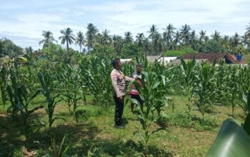 Polri Motivasi Petani Sekotong Barat Optimalkan Lahan Pertanian