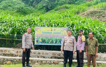 Dukung Ketahanan Pangan Nasional, Polres Bima Kota Pantau Perkembangan Tanaman Jagung Milik Warga