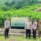 Dukung Ketahanan Pangan Nasional, Polres Bima Kota Pantau Perkembangan Tanaman Jagung Milik Warga