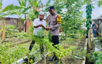 Inovasi Pertanian Terpadu Warga Desa Bajur Dukung Program Presiden