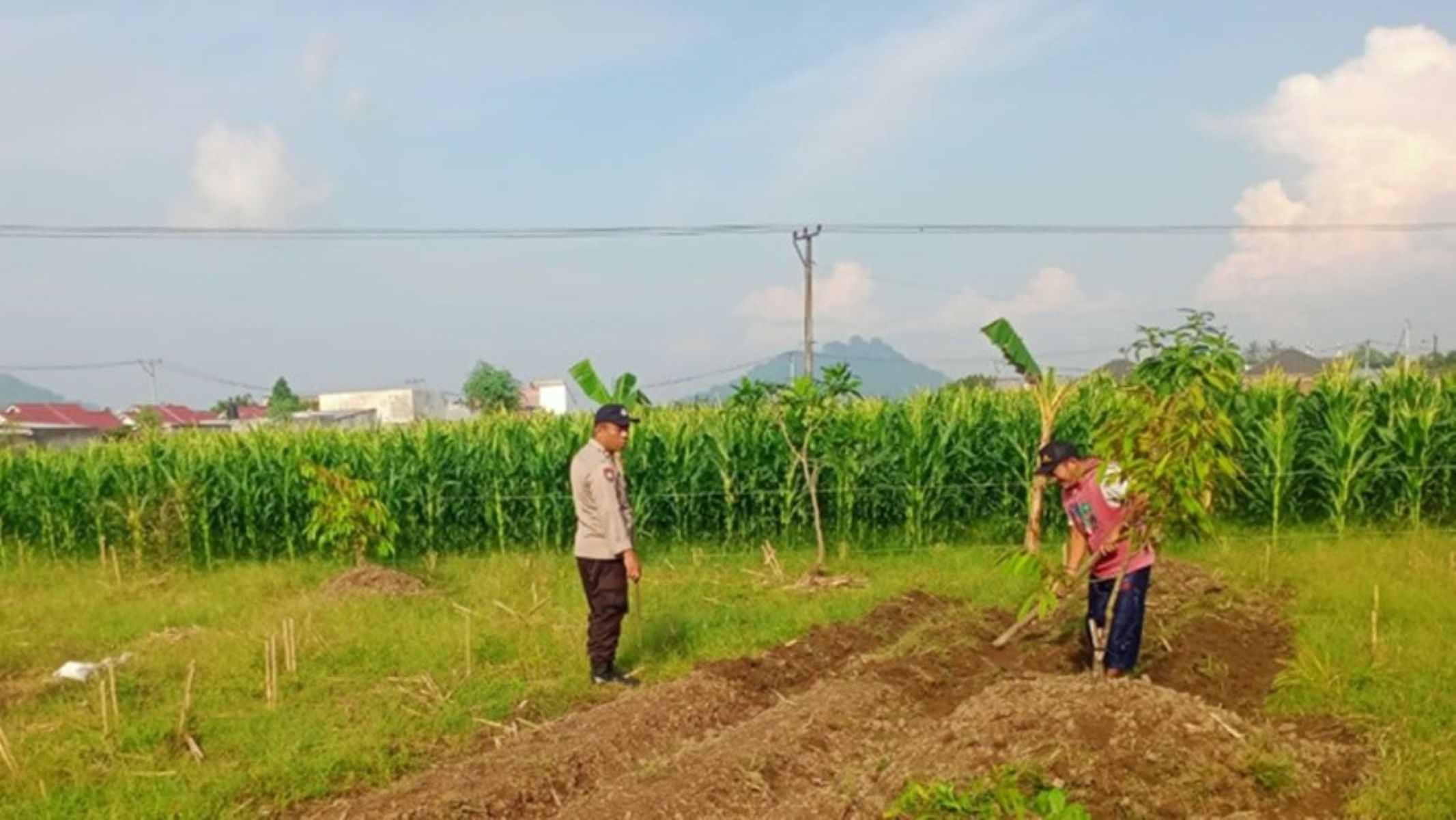 Labuapi Edukasi Petani Optimalkan Lahan Produktif
