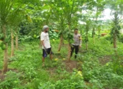 inergi Polri dan Petani dalam Pemanfaatan Lahan Kosong NTB