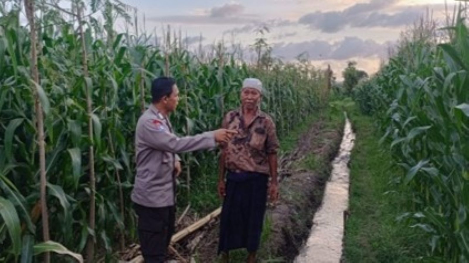 Bhabinkamtibmas Gerung Kawal Ketahanan Pangan Nasional