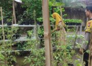 Inovasi Pangan Desa Bengkel: Bhabinkamtibmas Labuapi Sulap Pekarangan Warga Jadi Sumber Nutrisi Keluarga