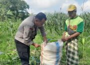 Sinergi Nyata di Tengah Ladang, Polisi dan Petani Labuapi Kolaborasi Demi Swasembada Pangan