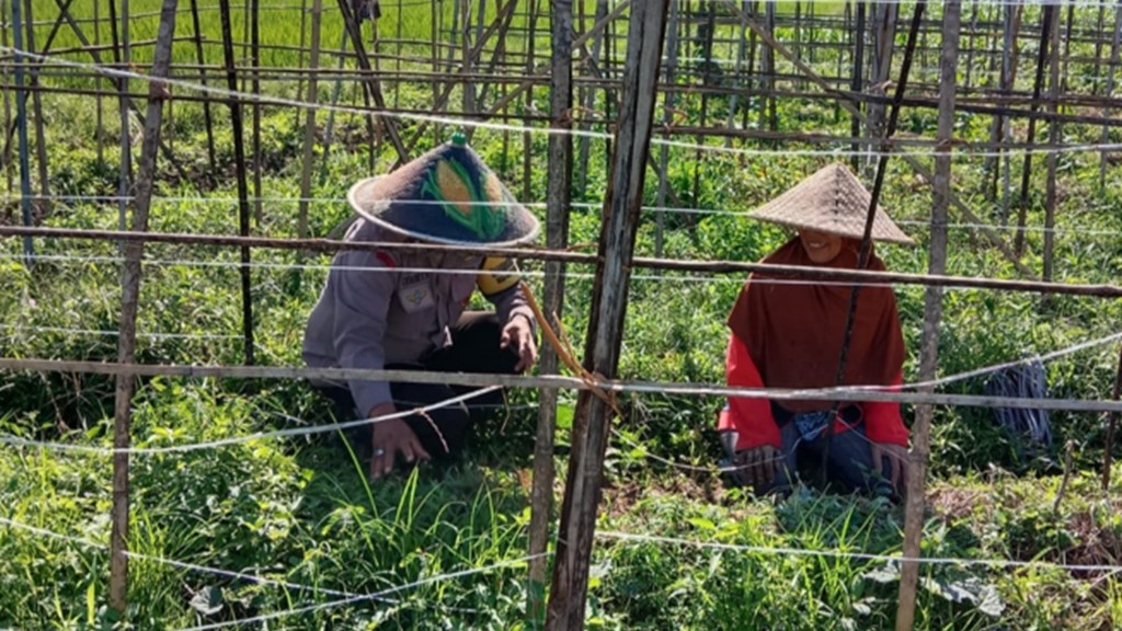 Polsek Labuapi Perkuat Ketahanan Pangan Desa Bagik Polak