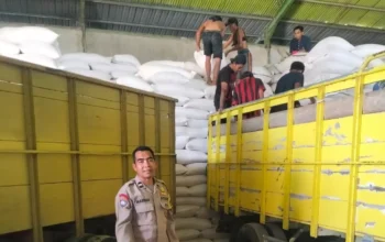 Sinergi Polri dan Petani, Distribusi Jagung Pipilan ke Gudang Bulog Gelogor Demi Ketahanan Pangan