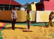 Polsek Dompu Dukung Ketahanan Pangan Melalui Kegiatan Sambang Bhabinkamtibmas di Desa Manggenae