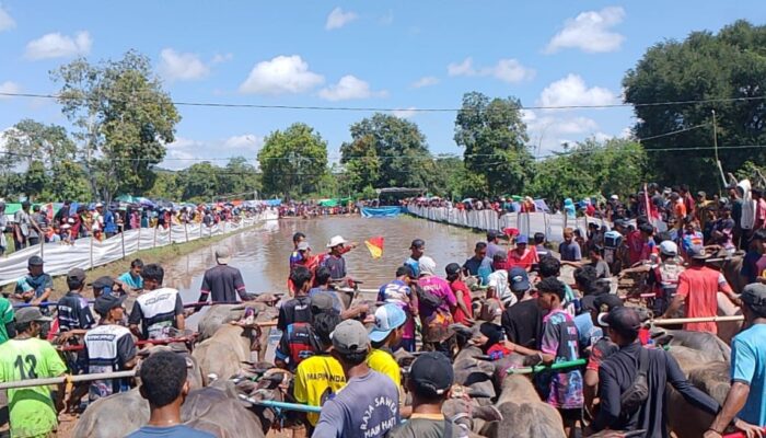 Pastikan Keamanan Tradisi Barapan Kebo, Polsek Lape Siagakan Personel di Jalur Lintas Sumbawa-Bima