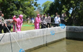 Kapolda NTB Pimpin Panen Ikan di SPN Belanting, Dukung Program Ketahanan Pangan Nasional