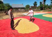 Bhabinkamtibmas Polsek Hu’u Pantau Penjemuran Hasil Panen Jagung Warga