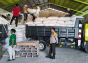 Petani Mareje Timur Tembus Standar Bulog, Bhabinkamtibmas Turun Tangan Kawal Logistik
